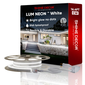110V Super Bright Lum LED Neon Rope Light 6300K Cool White 226Lumens