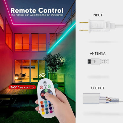 Controller Pack for 110V 10x20mm RGB Neon Light-Eco RGB Neon - Shine Decor