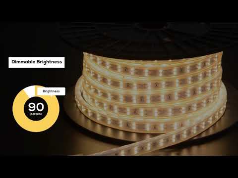 2021 Shine Decor Double Row Cold Resistant Led Lighting Strips