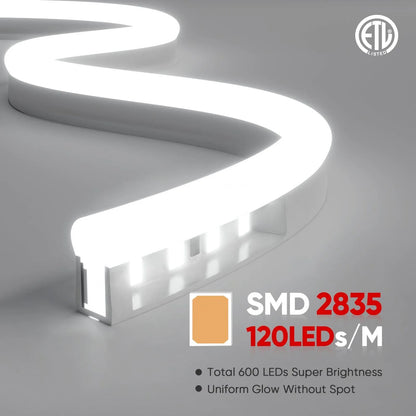ETL-listed 6500K cool white LED neon rope light with uniform glow, cut at 1.6ft intervals for a retail shelf display.